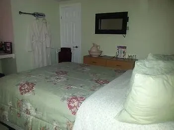 Teddy Bear Bed & Breakfast-1